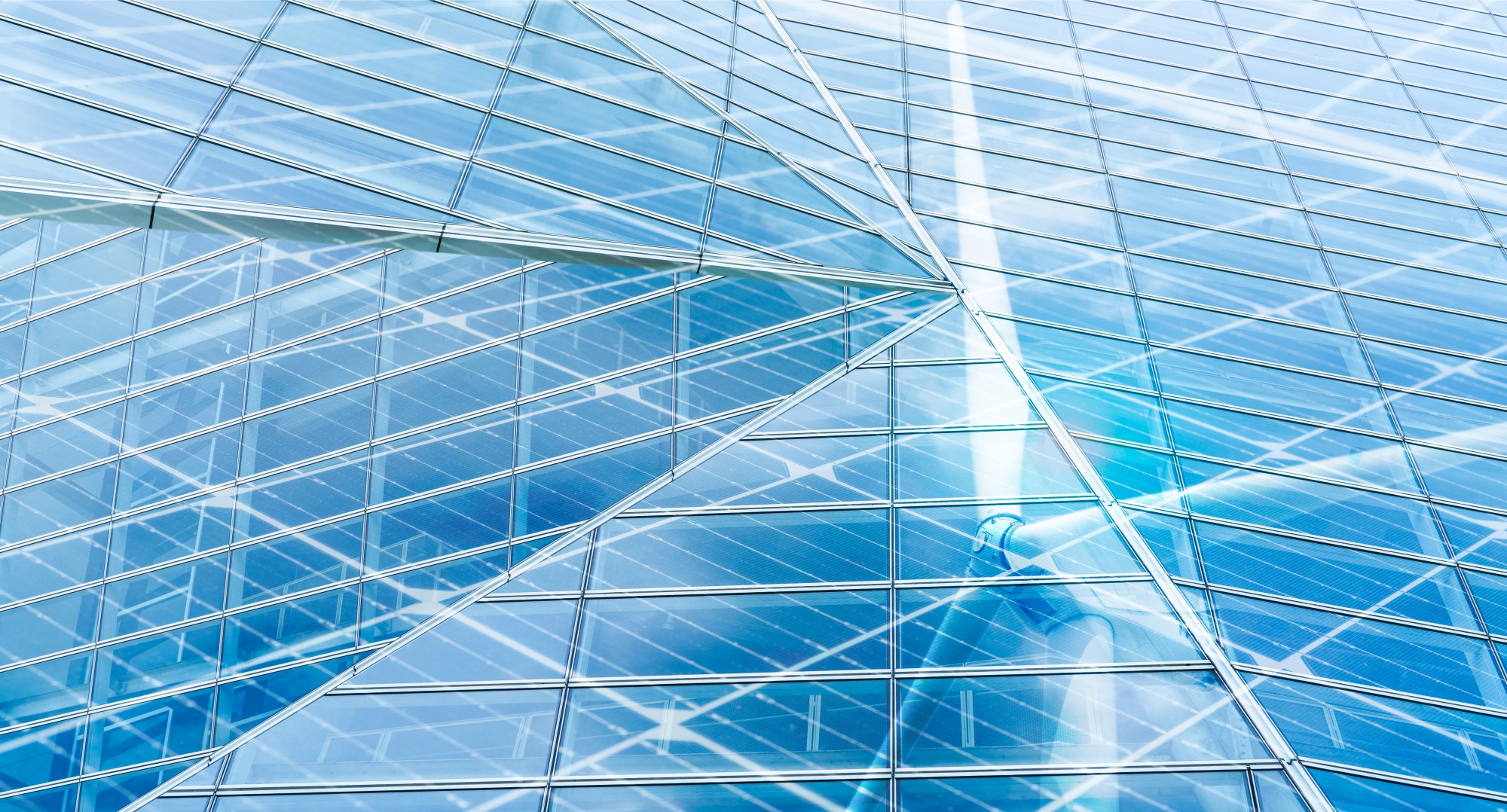 Programa de Desarrollo Sustentable (PDS)